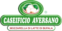 logo dell'azienda