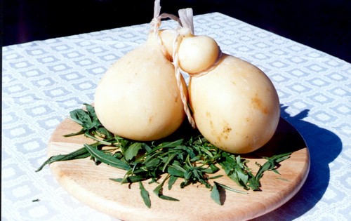 caciocavallo silano