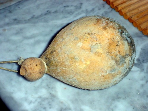 caciocavallo di grotta