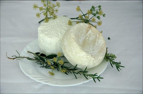 formaggio caprino del cilento