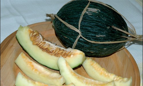 melone di napoli