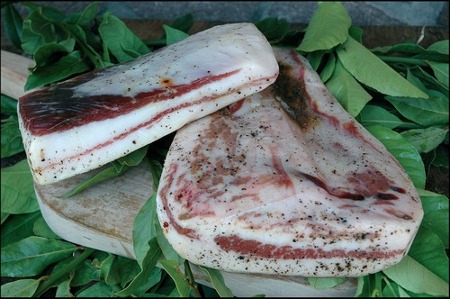 pancetta tesa