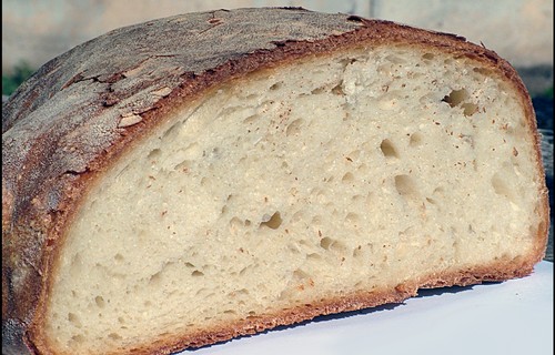 PANE DI SARAGOLLA