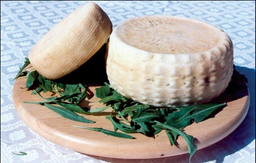 Pecorino di Laticauda 