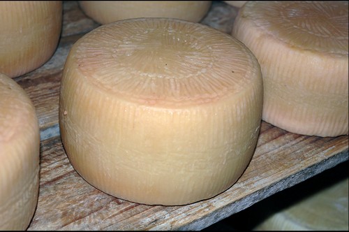 Pecorino del Monte Marzano