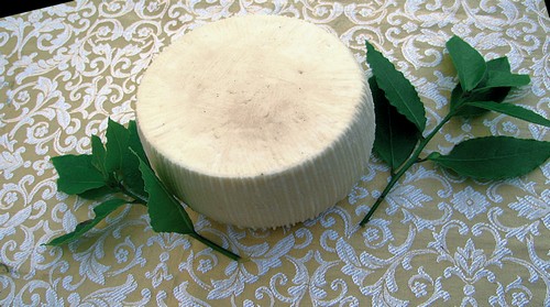 PECORINO SALAPRESE