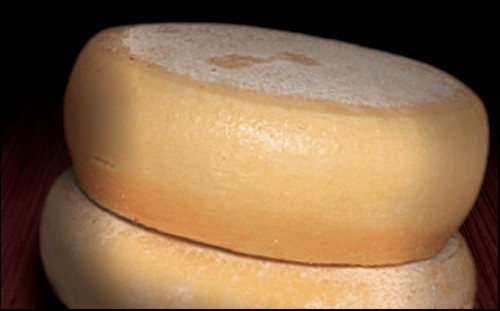 Pecorino