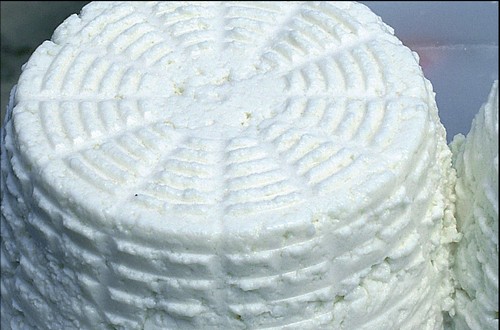 ricotta di laticauda